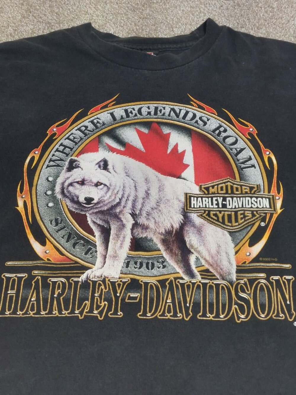 Harley-Davidson short sleeve t-shirt Jacox Canada dealership Size M